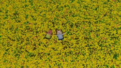 The Adventures of Bunny and Pig