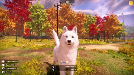 Animal Shelter 2