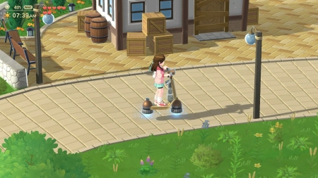 Harvest Moon: Home Sweet Home Special Edition