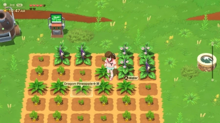 Harvest Moon: Home Sweet Home Special Edition