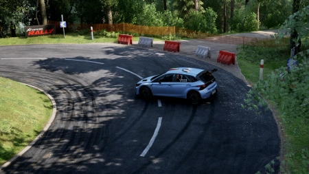 Assetto Corsa Rally