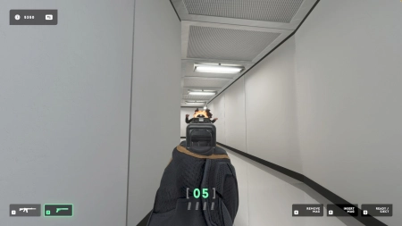 They Killed Your Cat