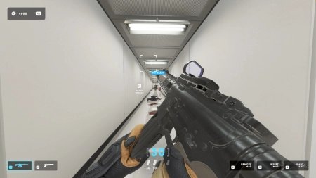 They Killed Your Cat