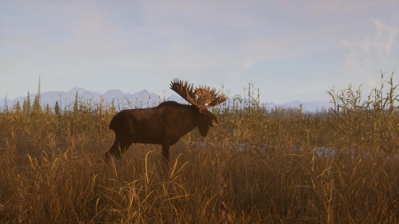 Next Hunting Adventure