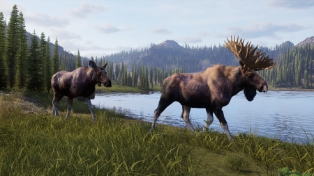 Way of the Hunter 2