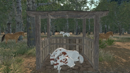Medieval Horse Dealer Simulator
