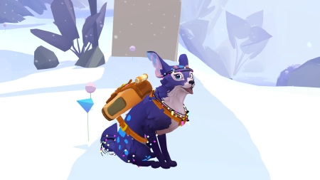 Stay: Your Forever Pet!