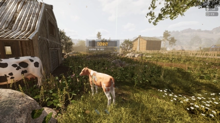 Hillshade Farm